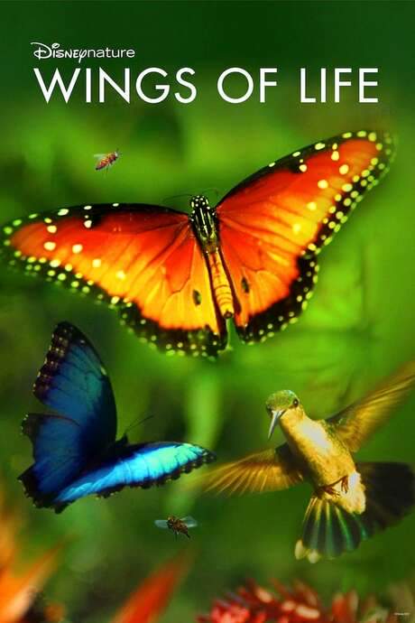 Wings of Life